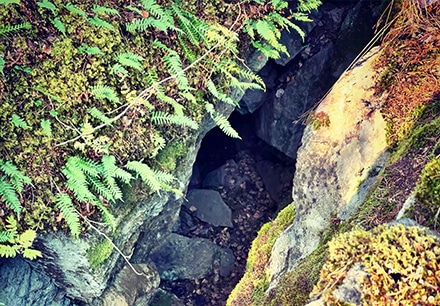 Villa_Wolax_22